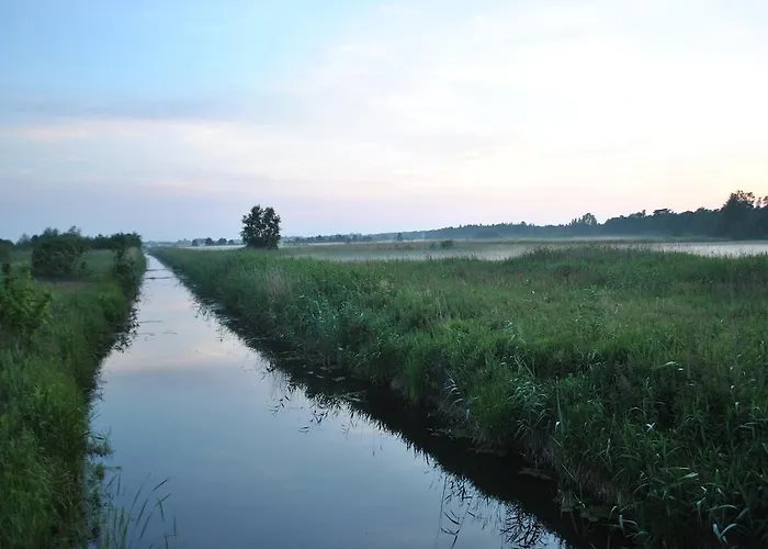 Krzywy W Ostrowie Morza Brzeg Ostrowo (Puck)